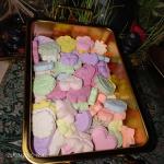 قندو نبات خانگی